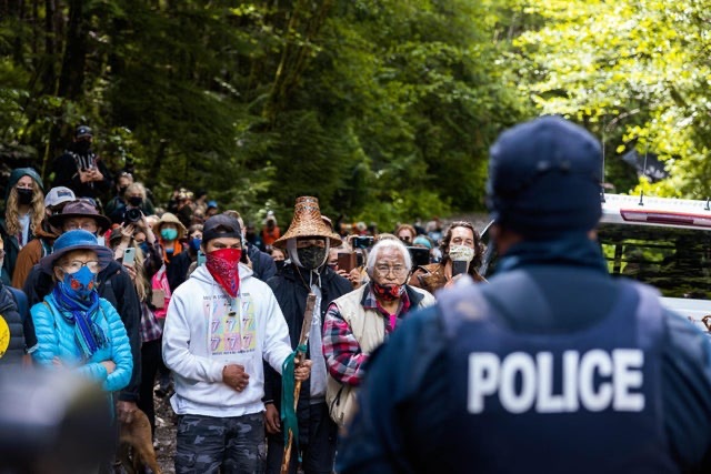 A picture of people protecting their trees