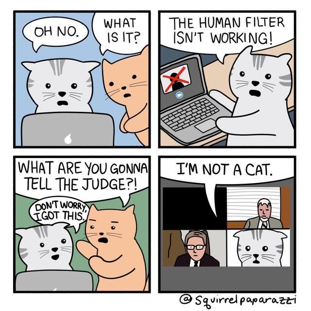 A comic featuring two cats attempting to use a human filter on a Zoom call with a judge