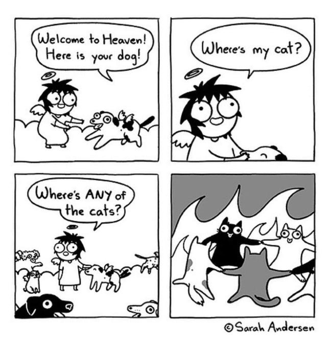 A comic featuring a person in heaven finding their dog but seeing no cats.